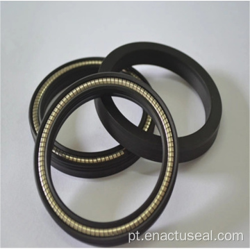 Fibra de carbono PTFE ENERGIZADO DE PTFE SEENS